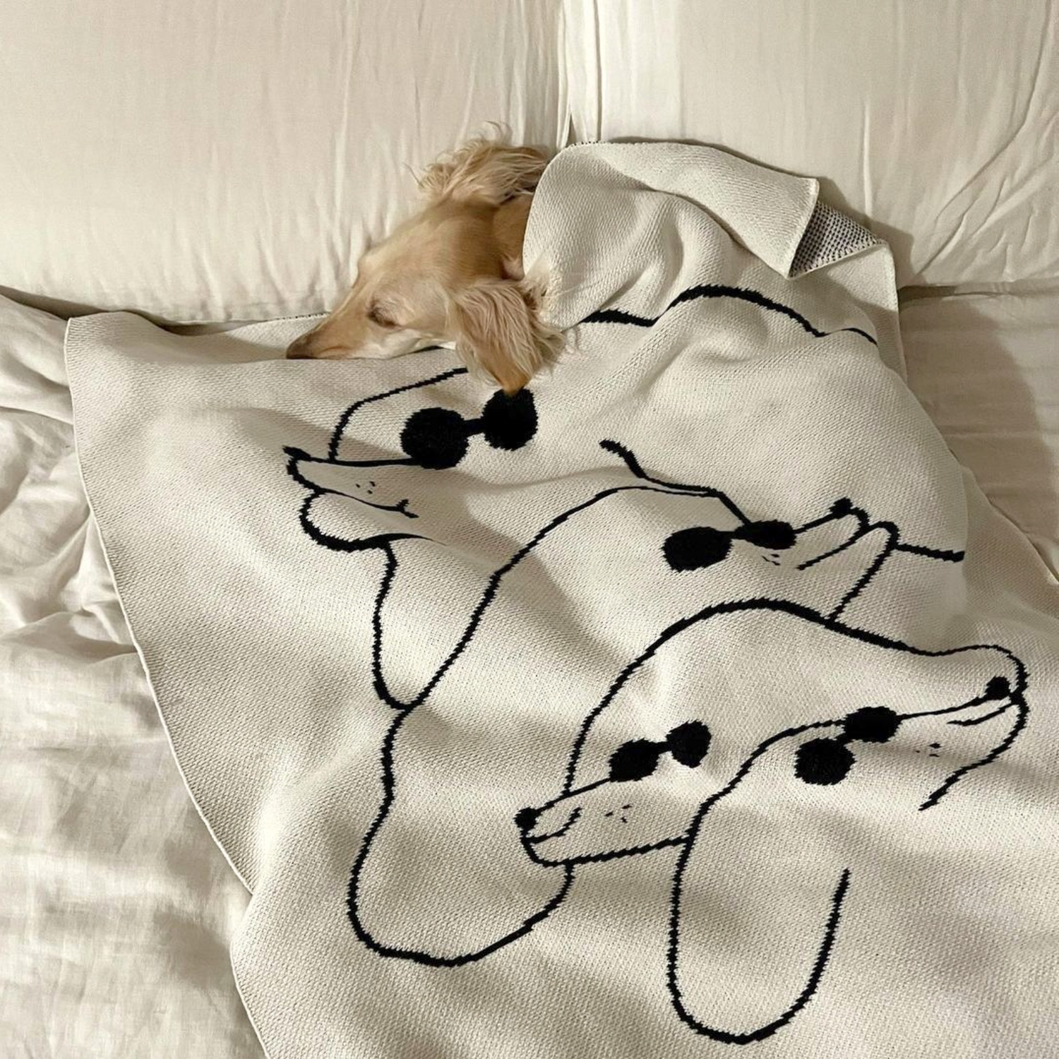 Dawgs Mini Blanket - Slowdown Studio
