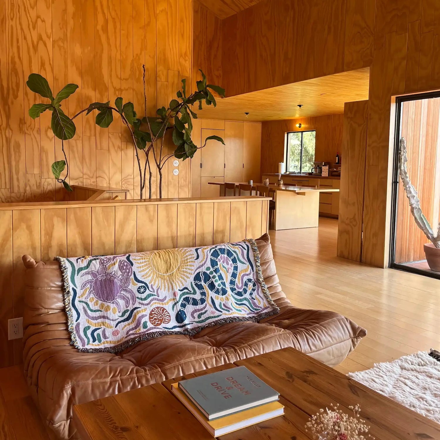 Living room with wooden walls, a brown sofa, and decorative throw blanket elements.