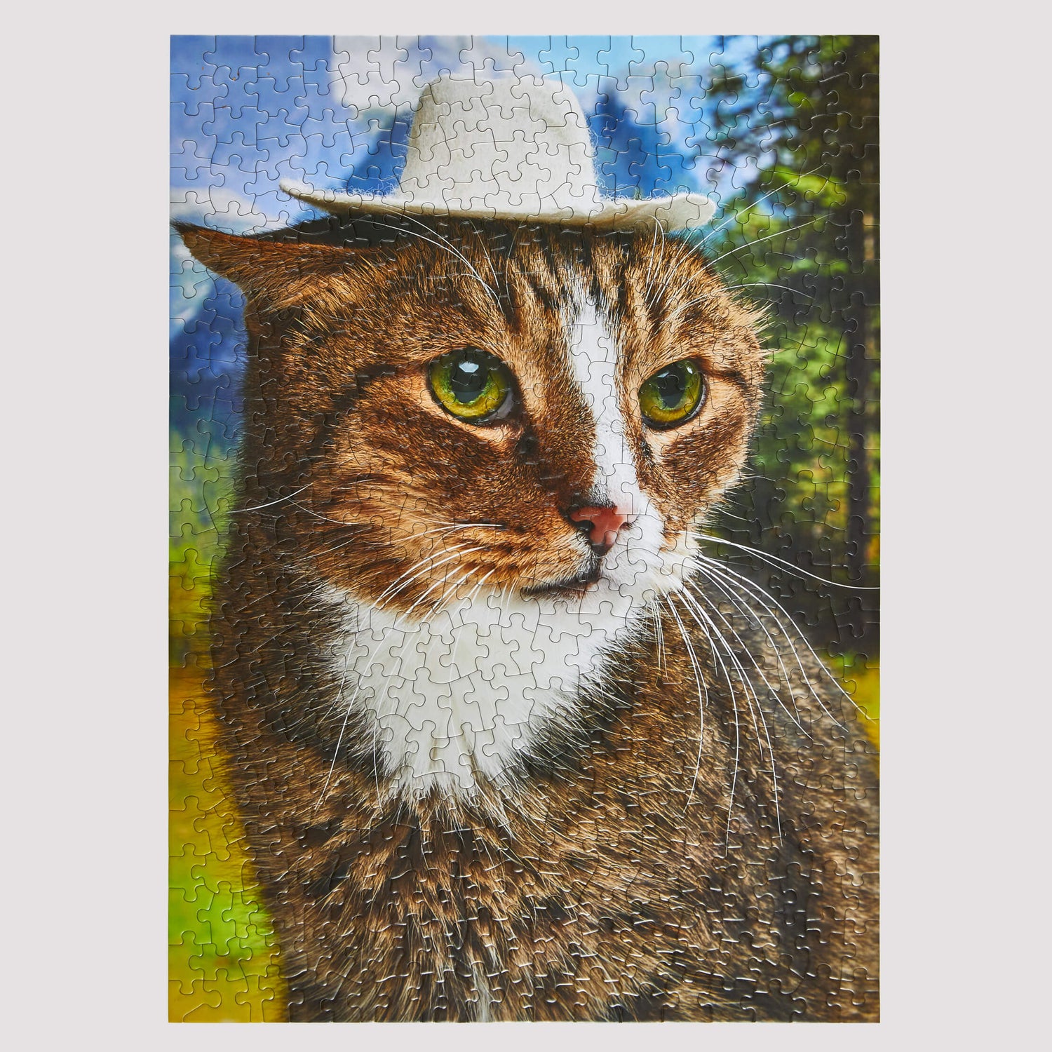 Howdy Pawtner Puzzle